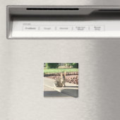 Kaninchen-Foto Ostern Frühling Magnet (In Situ (Geschirrspüler))