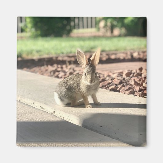 Kaninchen-Foto Ostern Frühling Magnet (Vorne)