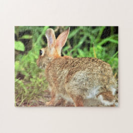 Kaninchen-Foto Puzzle