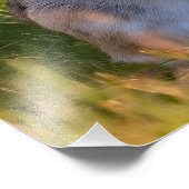 Kaninchen Fotodruck (Ecke)