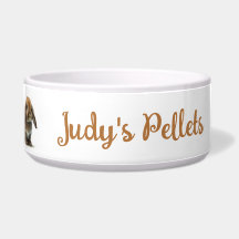 Kaninchen fütternd Schüssel