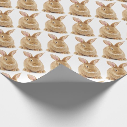 Kaninchen Geschenkpapier (Ecke)
