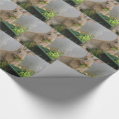 Kaninchen Geschenkpapier (Ecke)