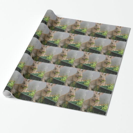 Kaninchen Geschenkpapier (Ungerollt)