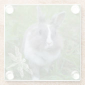 Kaninchen Glasuntersetzer (Rückseite)