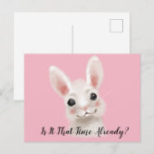 Kaninchen-Grüße Postkarte (Vorne/Hinten)