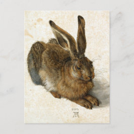 Kaninchen, Hare by Durer Vintag Nature Art, 1502 Postkarte
