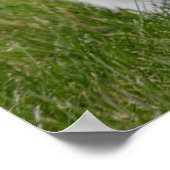 Kaninchen-Hasen-Fotoposter Poster (Ecke)