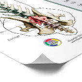 Kaninchen Hunde Spinale Nerven Funktion Veterinärm Poster (Ecke)