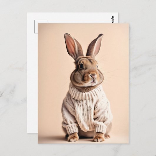 Kaninchen im Pullover, Postüberquerung Postkarte (Vorne/Hinten)