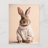 Kaninchen im Pullover, Postüberquerung Postkarte (Vorderseite)