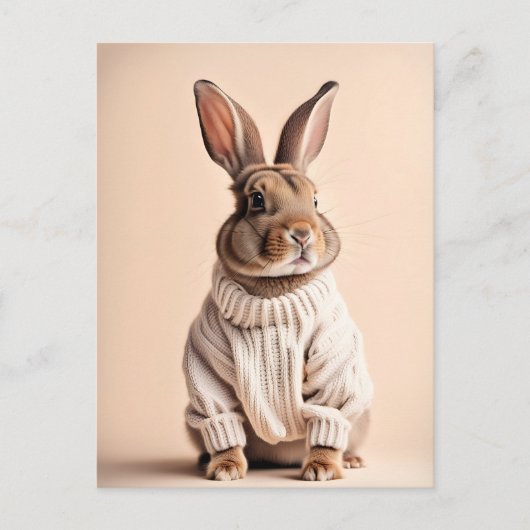 Kaninchen im Pullover, Postüberquerung Postkarte (Vorderseite)
