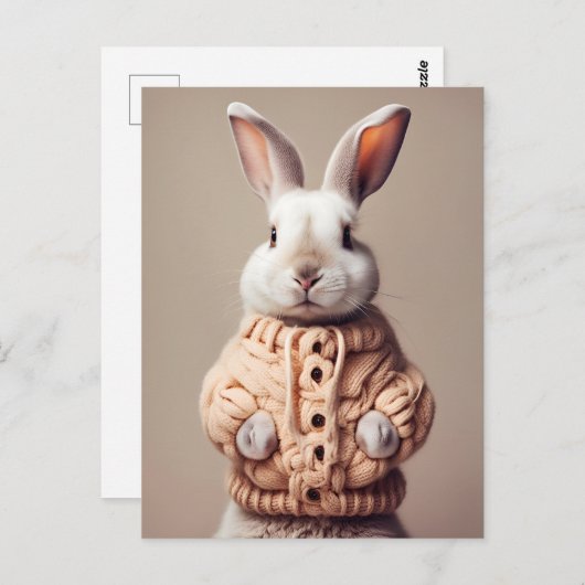 Kaninchen im Pullover, Postüberquerung Postkarte (Vorne/Hinten)