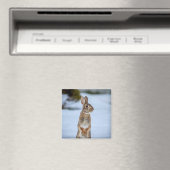 Kaninchen im Schnee Magnet (In Situ (Geschirrspüler))