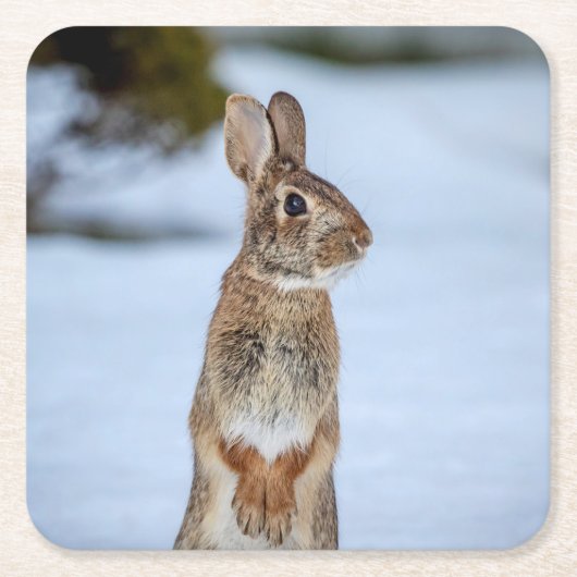 Kaninchen im Schnee Rechteckiger Pappuntersetzer (Vorderseite)