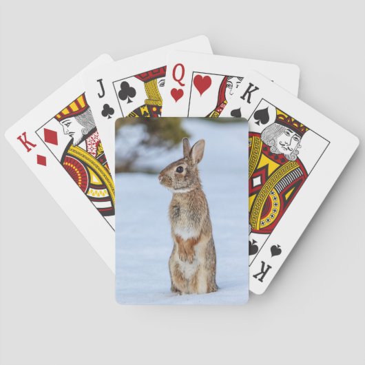 Kaninchen im Schnee Spielkarten (Rückseite)
