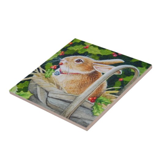Kaninchen in Basketball mit Holly Sprigs Wasserfar Fliese (Seite)