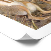 Kaninchen in der Feldausdruck Poster (Ecke)