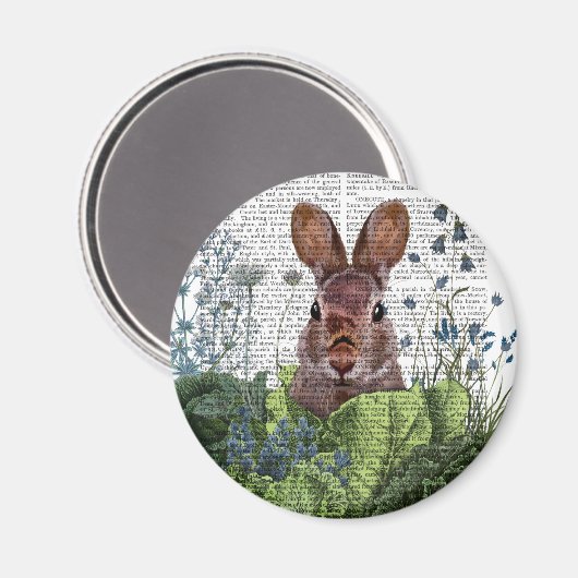 Kaninchen in einem Kohl-Patch Magnet (Vorderseite/Rückseite)