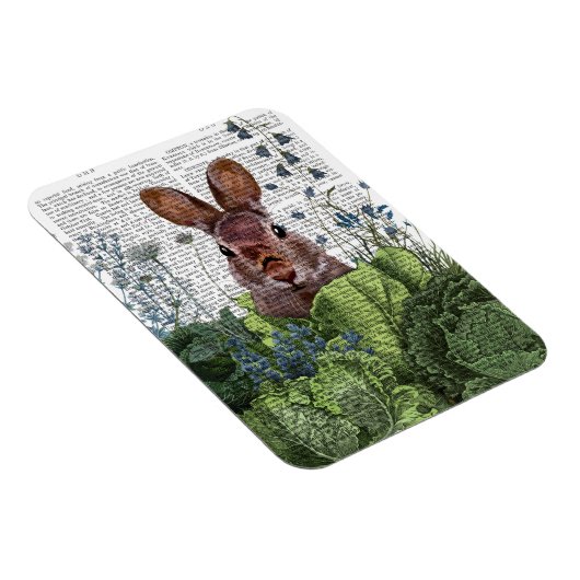 Kaninchen in einem Kohl-Patch Magnet (Rechte Seite)