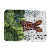 Kaninchen in einem Kohl-Patch Magnet (Horizontal)