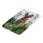 Kaninchen in einem Kohl-Patch Magnet (Linke Seite)