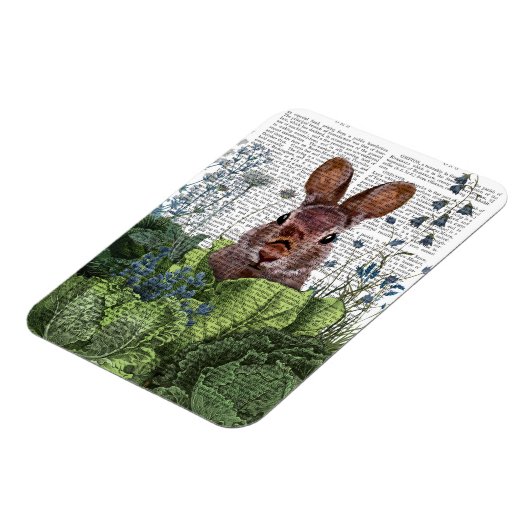 Kaninchen in einem Kohl-Patch Magnet (Linke Seite)