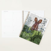 Kaninchen in einem Kohl-Pflaster Planer (Anzeige)