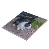 Kaninchen in naher Keramik Fliese (Seite)