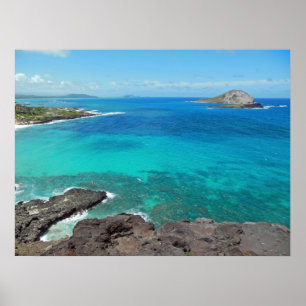 Kaninchen-Insel Poster