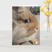 Kaninchen Karte (Gelbe Blume)
