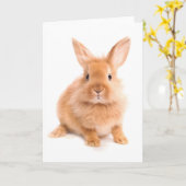 Kaninchen Karte (Gelbe Blume)