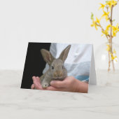 Kaninchen Karte (Gelbe Blume)