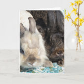 Kaninchen Karte (Gelbe Blume)