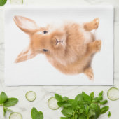 Kaninchen Küchentuch (Gefaltet)