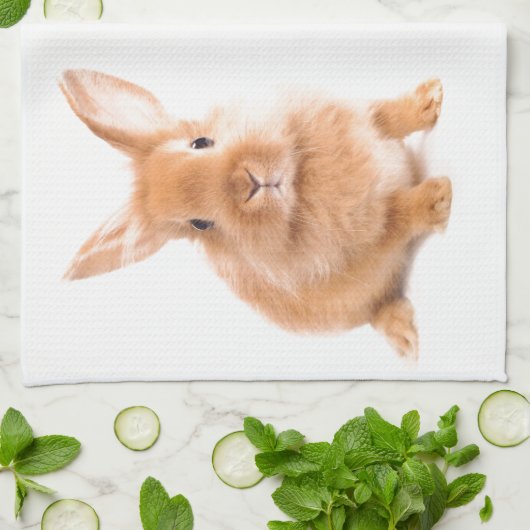 Kaninchen Küchentuch (Gefaltet)