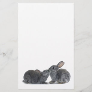 Kaninchen-Kuss Briefpapier
