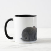 Kaninchen-Kuss Tasse (Links)