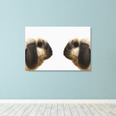 Kaninchen Leinwanddruck (Insitu (Holzboden))