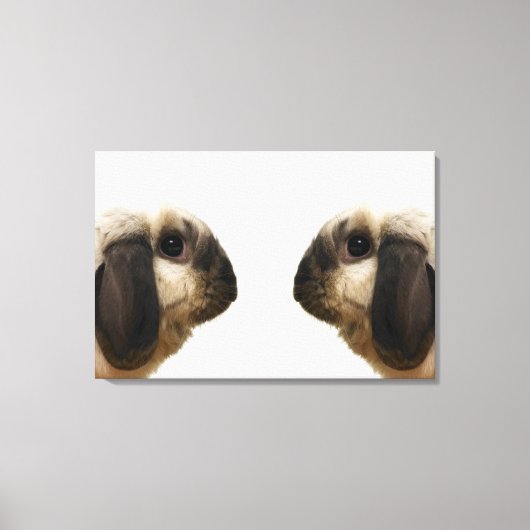 Kaninchen Leinwanddruck (Vorderseite)