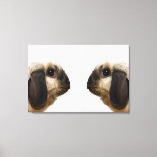 Kaninchen Leinwanddruck