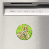 Kaninchen Magnet (In Situ (Geschirrspüler))