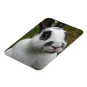 Kaninchen Magnet (Linke Seite)