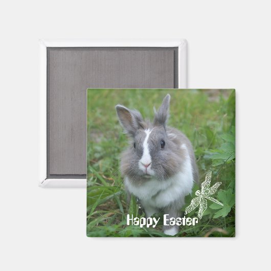 Kaninchen Magnet (Vorderseite/Rückseite)