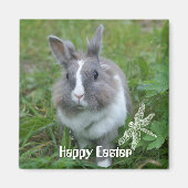 Kaninchen Magnet (Vorne)