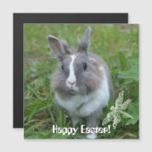 Kaninchen Magnetkarte (Vorne/Hinten)