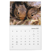 Kaninchen-Mauerkalender Kalender (Jan 2027)