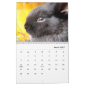 Kaninchen-Mauerkalender Kalender (Mär 2027)