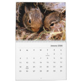 Kaninchen-Mauerkalender Kalender (Jan 2026)