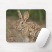 Kaninchen mousepad (Mit Mouse)